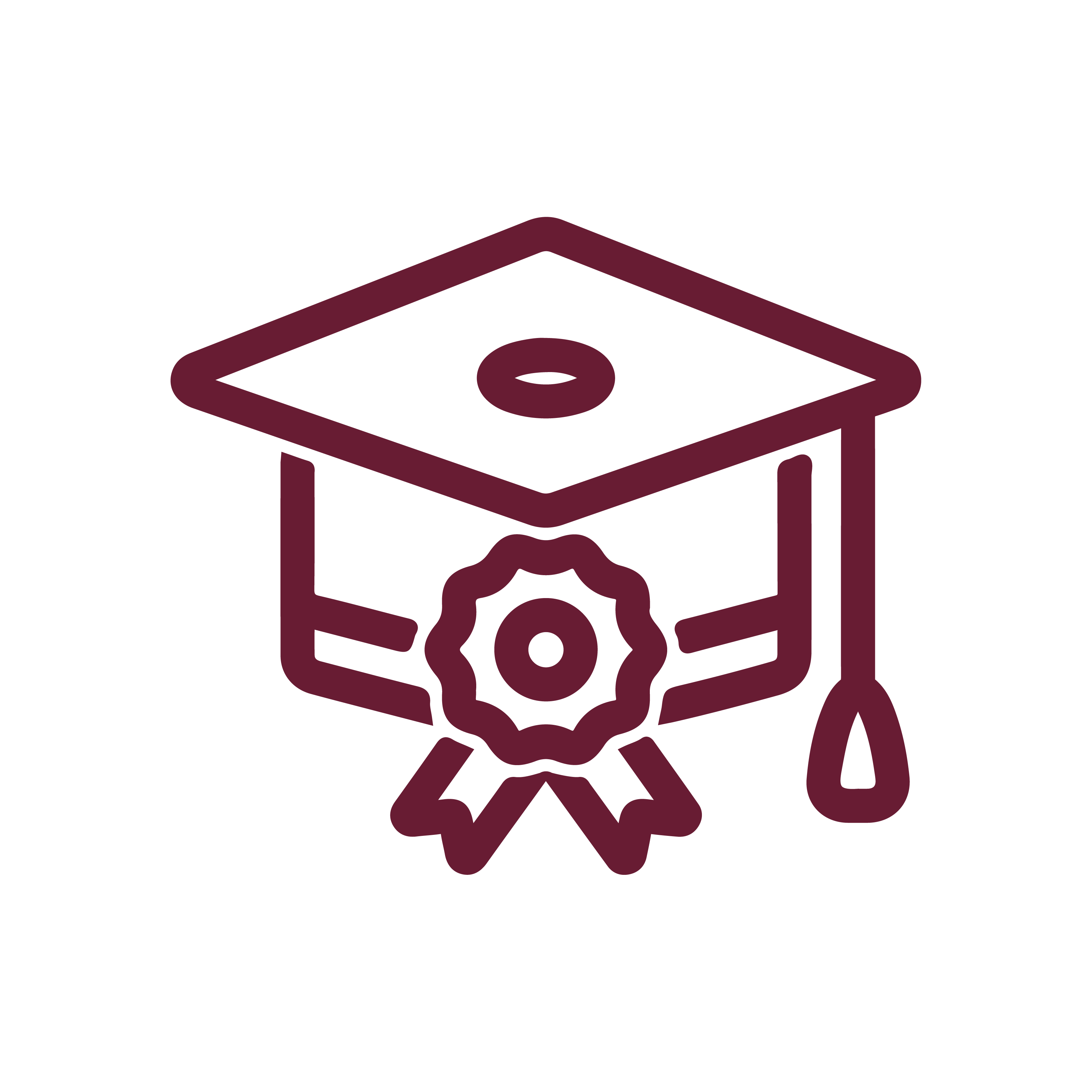 Participación Escolar